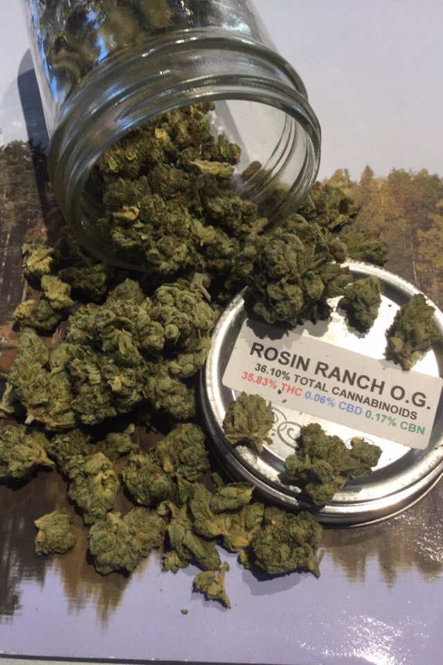 RosinRanchlife's tweet photo. GoodMorning Ranchers ๐
Wake && Bake ๐จ๐จ #Therosinranch #og
This top shelf beauty remains our top strain ๐ฅ๐ฅ๐ฅ #heavy #indica #topshelf #greens #cannabis #fire #thc #topstrains #blowsmoke
Come down to the Ranch for that ๐ฅ๐ฅ๐ฅ https://t.co/XDoWJm7mZ4