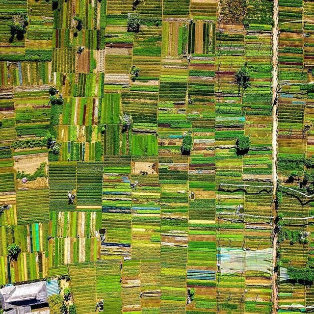 Our future depends on our food. And the #FutureofFood relies on sustainable agriculture. #ZeroHunger