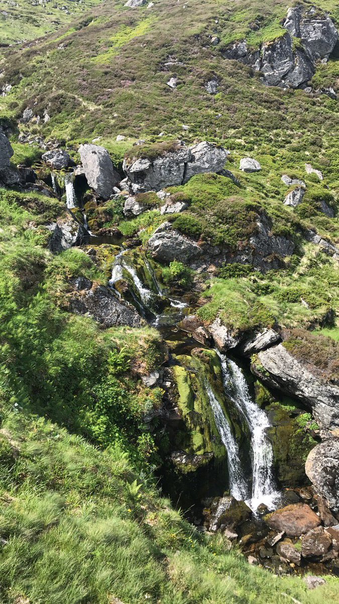 kat_reid's tweet photo. A great day spent up Glen Doll going up Driesh and Mayar before descending down via Corrie Fee. Loved being back up in the hills again https://t.co/PfaGa777hx