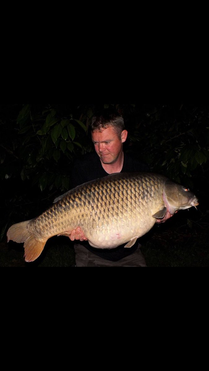 CoreBaits_uk's tweet photo. **Marine Core madness**
How does a 30,40 & a 50 sound in a session ? Well Craig achieved just that. Double Marine Core wafter been the key to his success.
#NoHypeJustBait #GetOnTheCore #CoreBaits https://t.co/xDjJojIKlx