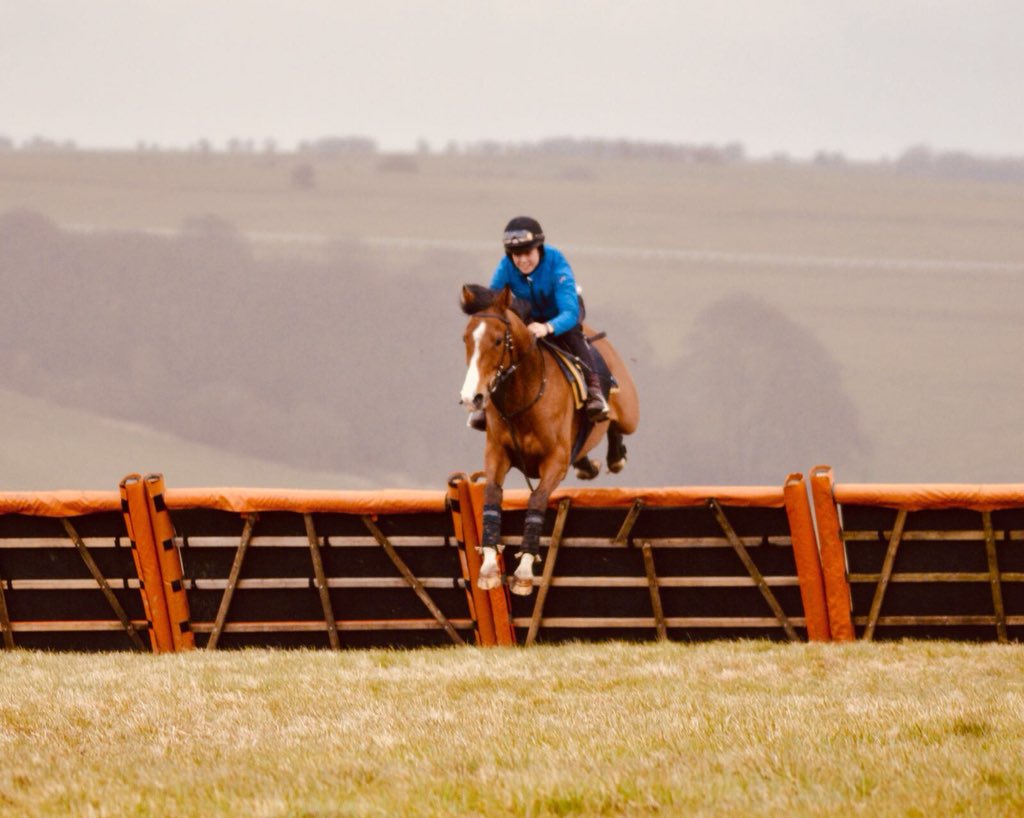 jamiesnowden's tweet photo. #LordTopper wins well @NewtonAbbotRace for #BOBW Lovely to give @page_fuller her first #winner as a professional. https://t.co/vGsOeEFkLZ