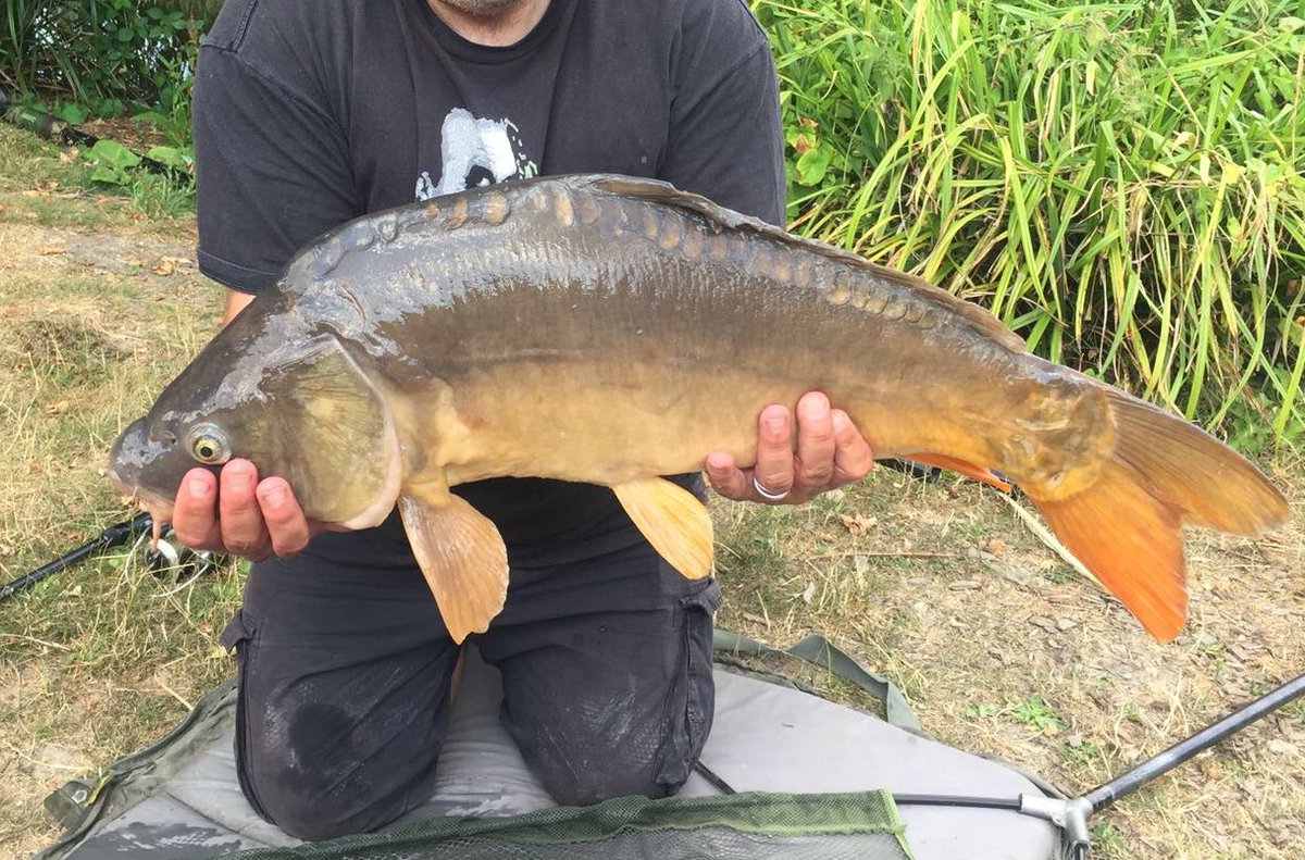 markcoultrup's tweet image. Happy with this one