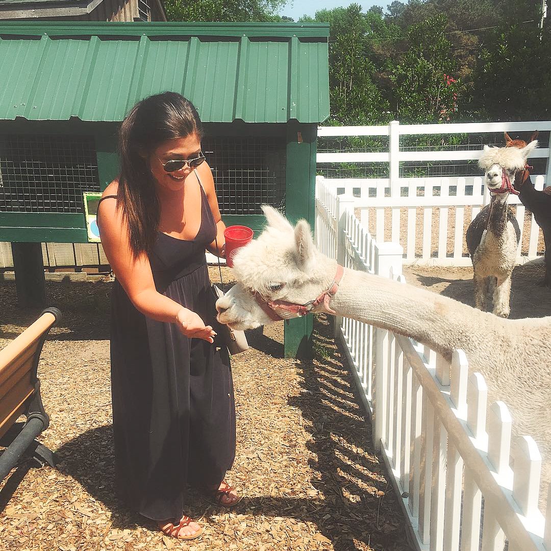 HuntClubFarm's tweet image. They love getting snacks from guests 😉
📸: raaaae on Instagram
when u see ur crush talking to someone else :/