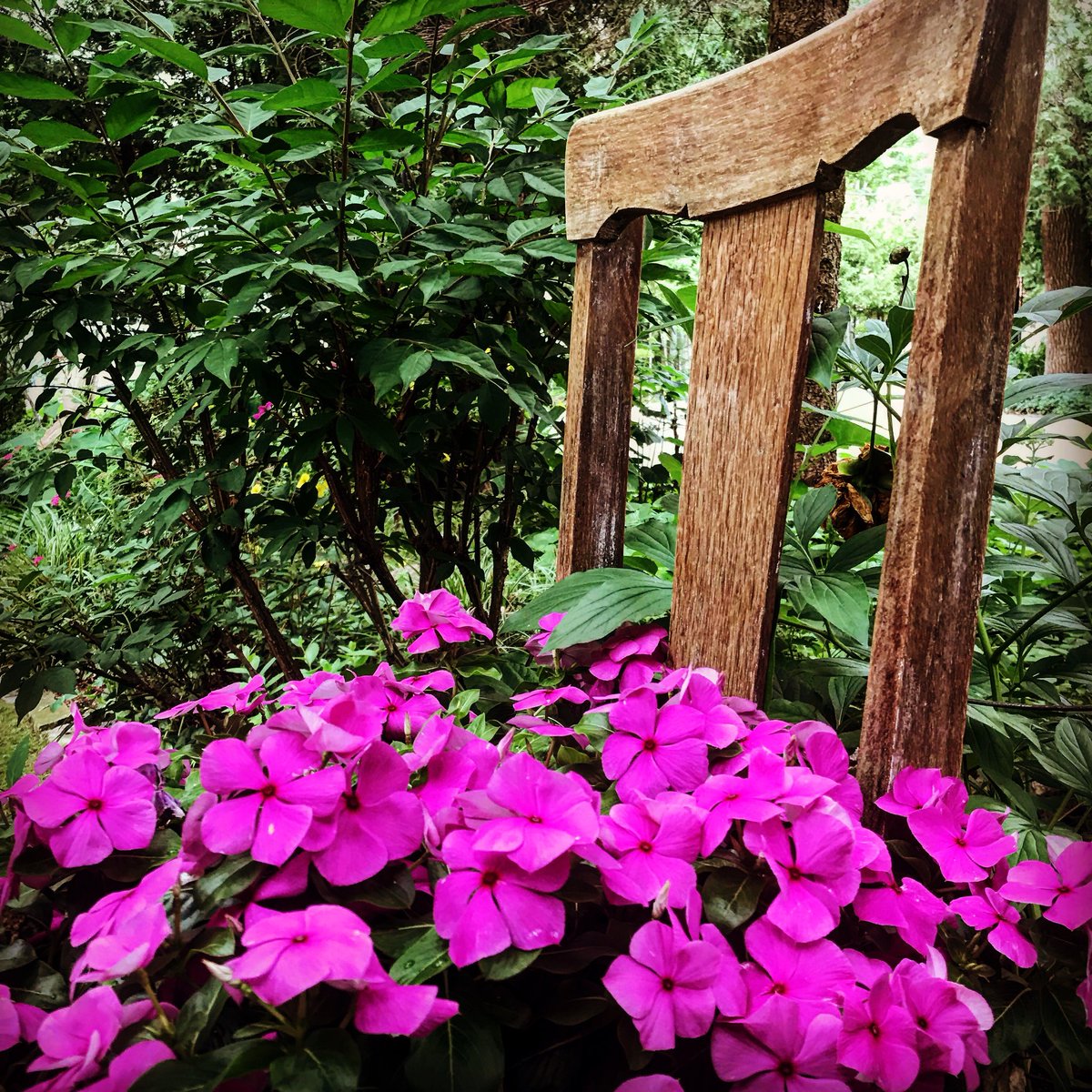 Jacksocan's tweet photo. Rough day volunteering at the Garden Tour...but someone’s got to do it! Proceeds of tickets going to @BBBSNS. Still time to get out and enjoy these beautiful gardens. Big thanks to @tinytownship for all their support with parking at our Tiny Beaches Rd home #ittakesavillage https://t.co/MReTAiaXbo