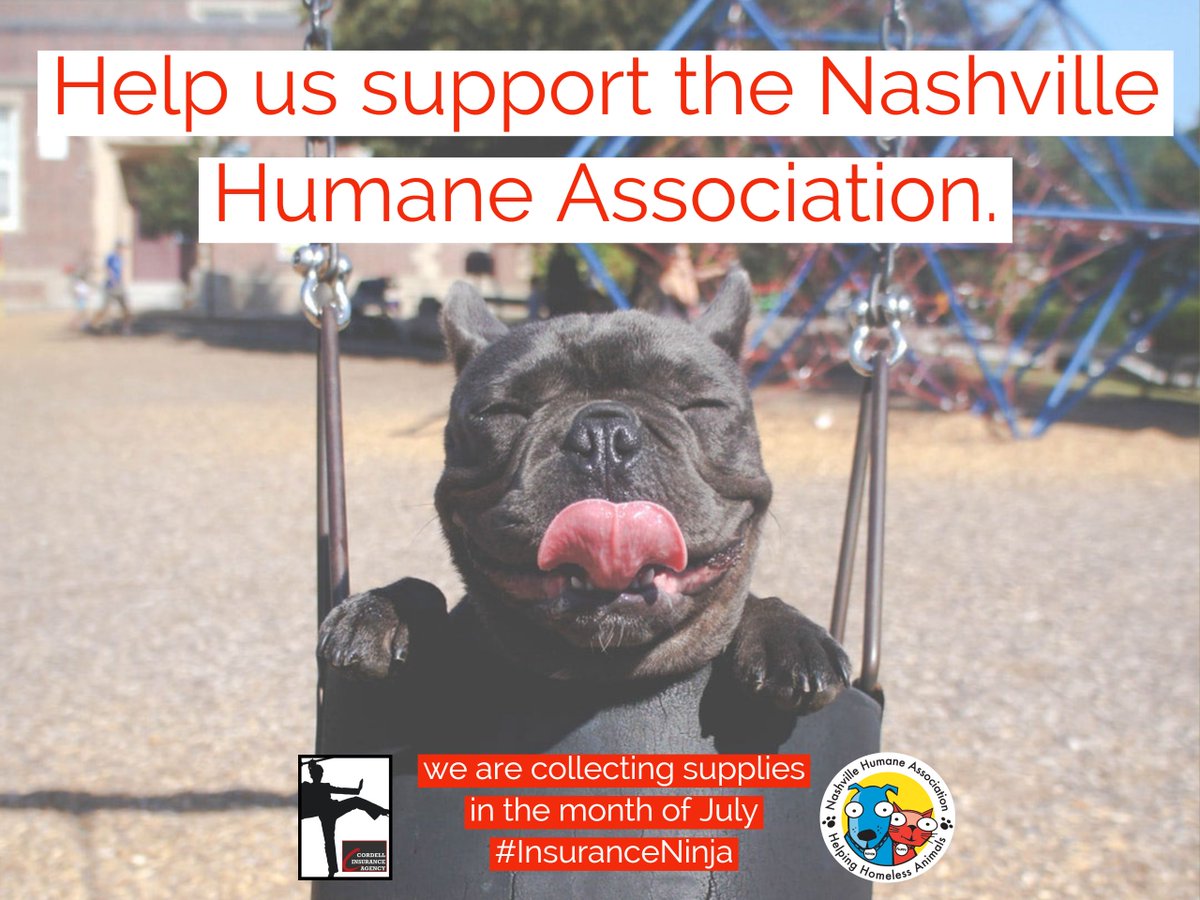 InsuranceKay's tweet photo. Details: https://t.co/tVHwLMg6EZ
Benefiting: @nashvillehumane
#InsuranceNinja https://t.co/WcolSymg4e
