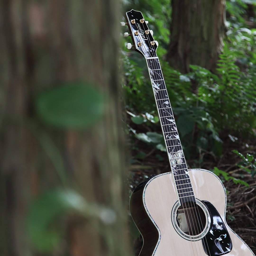TakamineUK's tweet photo. #Magical #creatures live in these #woods! #Takamine #GifuCho #LTD2018 #limitededition #acousticguitar #acoustic #guitar #guitarist #forest #madeinjapan #acousticguitarist #tonefordays #knowyourtone #beautyshot #guitarplayer #hardestworking #nexbody #cooltube #preamp #cedartop https://t.co/wpg6exSrmp