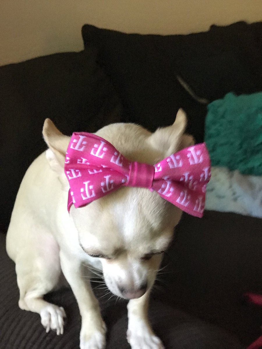 olson_wendy's tweet photo. Vivian and Ellie Mae are magenta! #AreYouWithUs #MagentaFamily #TMobileForAll https://t.co/zJcWc2dMFQ