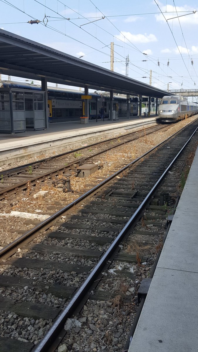 SNCF_Picardie's tweet photo. Accueil des trains de #pèlerins de retour en gare d'Amiens. Merci aux équipes SNCF mobilisées en ce 14 juillet. Une belle contribution intermetiers des agents d'escale, des trains, de l'encadrement et de la sûreté ferroviaire_ #SNCF #Amiens https://t.co/Y6oUn64owu