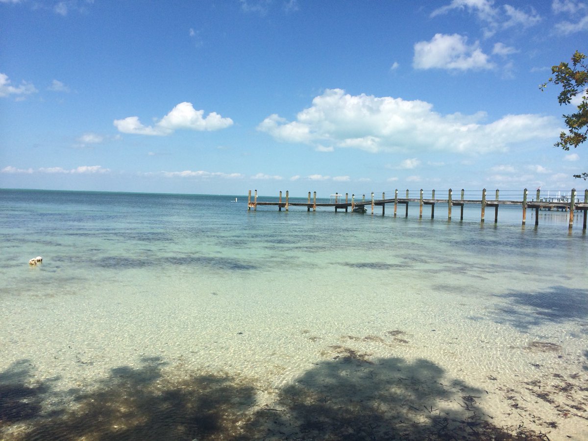 _sweetmara_'s tweet photo. Uno de los sitios más bonitos que he visto 😍 playas cristalinas en los cayos de Florida.
#travelphotography #tourist #tourism #playa #beach #beachgirl #beaches #miami #florida  #viajar #viajera https://t.co/5J7wH719mX