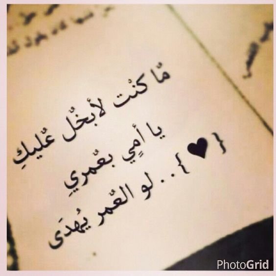 #صالح_الكناني_كافيه ↲أڪثروا من قول :
↲❁﴿ رَبِّ اغْفِر لِي وَلِوَالِدَيّ ﴾

َفإنها تجمع بين ثلاث عبادات"
#الدعاء ،و #البرّ ،و #الاستغفــار💎