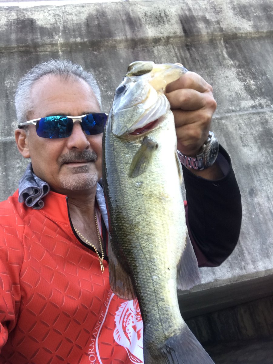 GMR_NYGFAN's tweet image. Took some time off.  But finally back at it again. That square bill crank bait by Strike King made me a believer today. But got a couple with my Jacks and Nextgen baits. #nextgen #jackslures #strikekingbaits #kvd #gmanfishin #gofishin