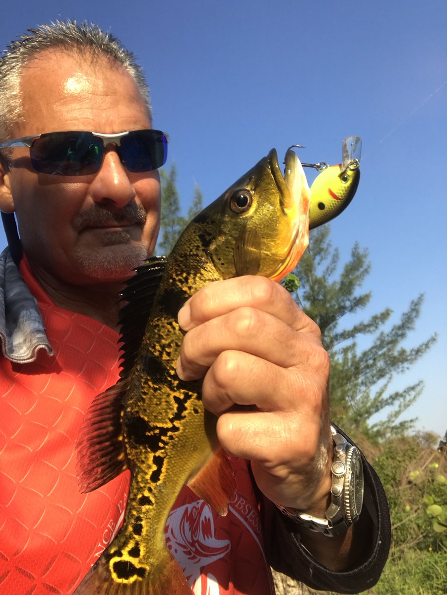 GMR_NYGFAN's tweet image. Took some time off.  But finally back at it again. That square bill crank bait by Strike King made me a believer today. But got a couple with my Jacks and Nextgen baits. #nextgen #jackslures #strikekingbaits #kvd #gmanfishin #gofishin