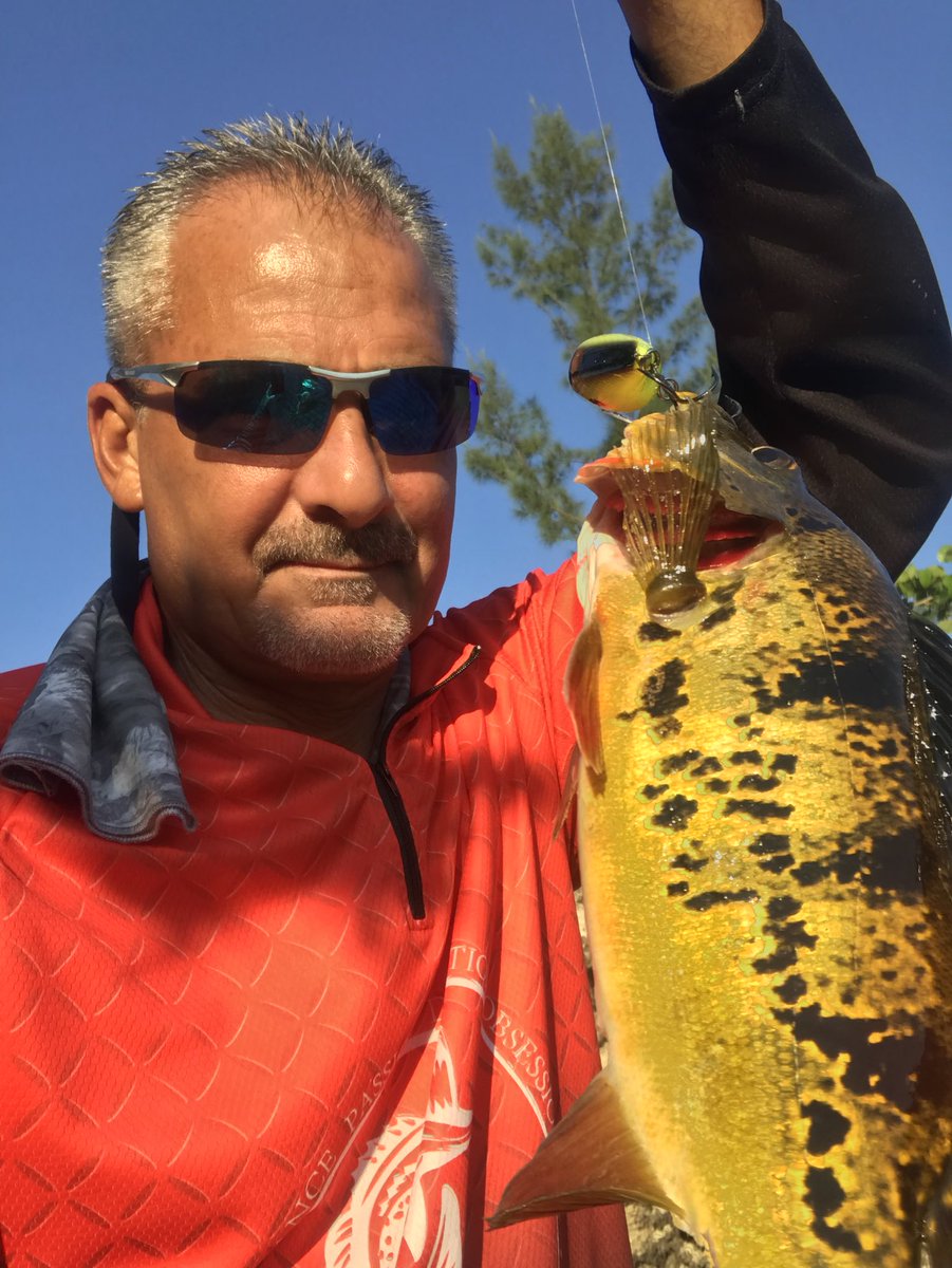 GMR_NYGFAN's tweet image. Took some time off.  But finally back at it again. That square bill crank bait by Strike King made me a believer today. But got a couple with my Jacks and Nextgen baits. #nextgen #jackslures #strikekingbaits #kvd #gmanfishin #gofishin