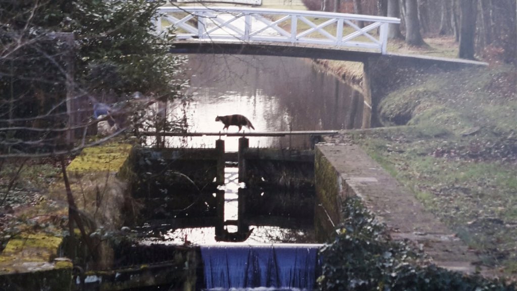 Droge voeten - Als je in Haarlem bent, stap even binnen bij het architectuurhaarlem.nl/activiteit/dro… <a href="/ABCHaarlem/">ABC archi.centr.Hrlm</a> tegenover het prachtige @FransHalsMuseum. Met 100-en foto's van gemalen, sluizen en duikers op beeldscherm + foto-expo van 3 fotografen, mmv <a href="/HHRijnland/">Hoogheemraadschap van Rijnland</a> @iSeeForYou <a href="/rijnjaprint/">Rijnja Repro</a> ea