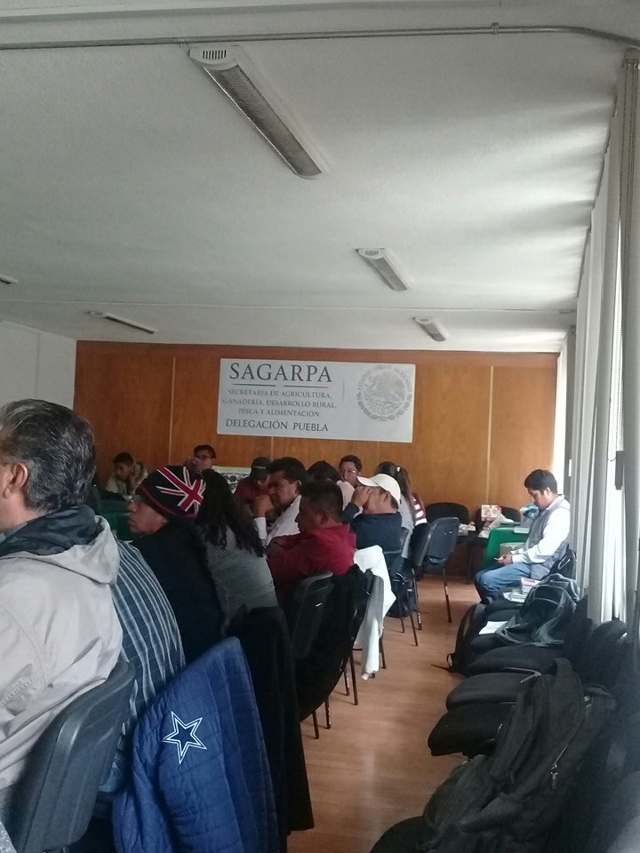 Fedebajio's tweet photo. Hoy sabado 14 de Julio Reunion de trabajo con coordinadores CIMMYT en la Delegacion SAGARPA PUE. #PROAGROCapacita https://t.co/xrKdyREb0U
