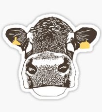 Kourto2's tweet photo. @BrinHall23 cow print 😉 https://t.co/lm6yomEkB8