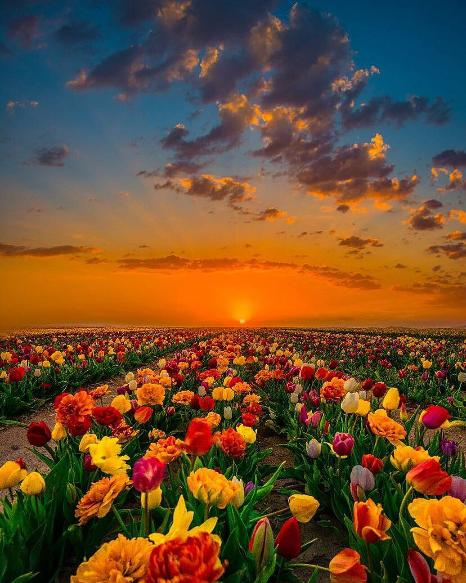 thandomoitse's tweet image. Ecclesiastes 7:8
The end of a matter is better than its beginning ,and patience is better than pride 🌟