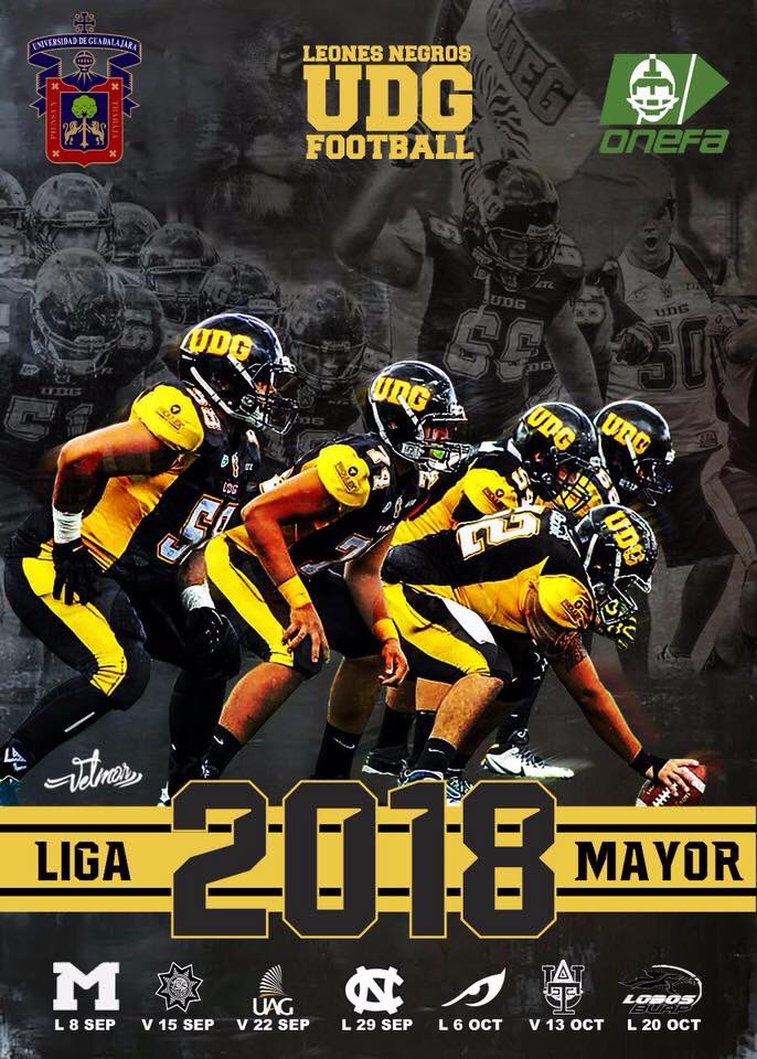 LEONES NEGROS tweet media