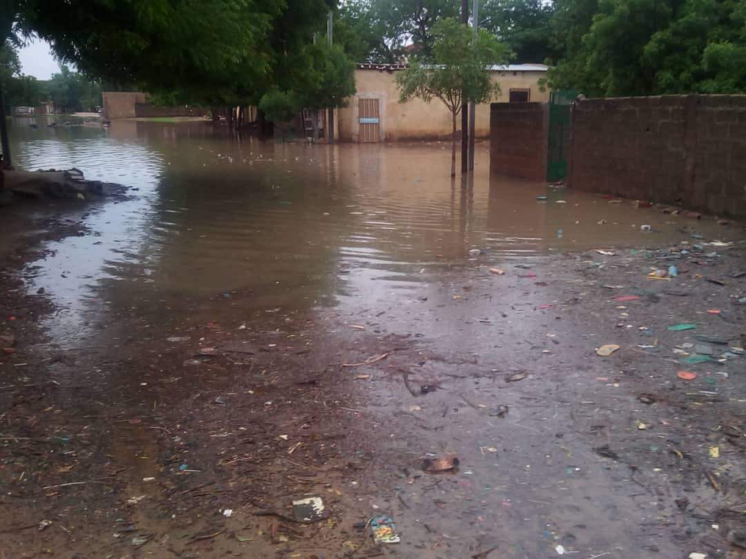 samy_writer235's tweet photo. Je vous présente la vitrine d'Afrique centrale...Oups, Latrine d'Afrique centrale.
#4eRepublique #Adjib #Tchad. https://t.co/VVQo8HHXbi