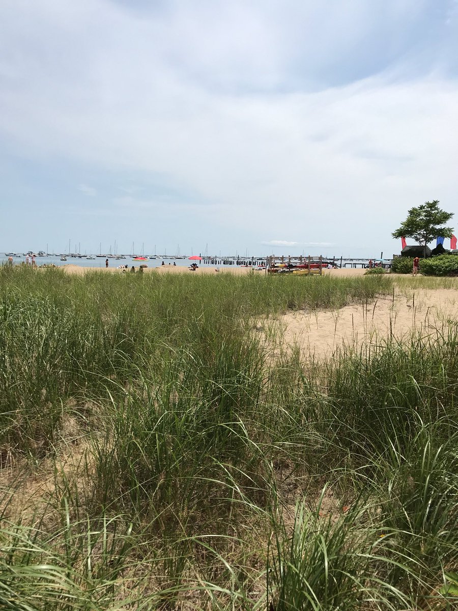 BostonDaniel22's tweet image. 