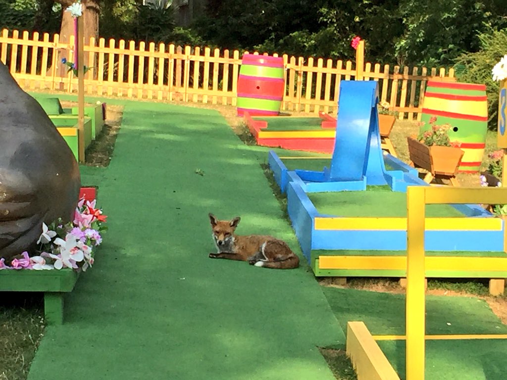 Fox and Walrus, Horniman Gardens.