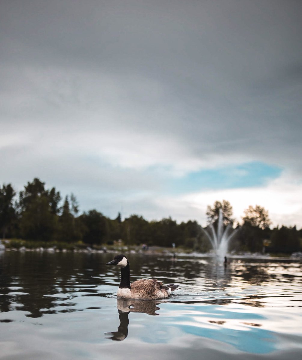 cjayvisuals_'s tweet image. Sometimes it is fun to be a hometown tourist