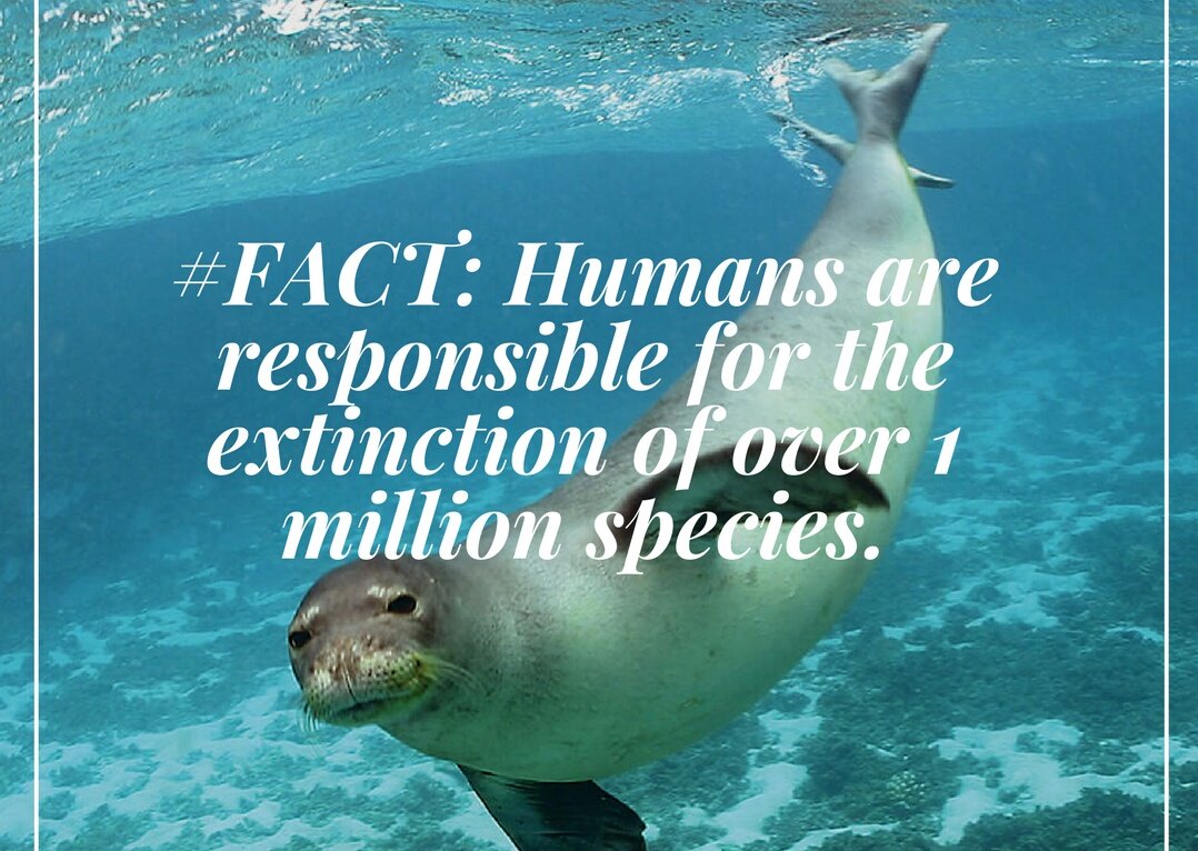 Arth_ink's tweet photo. @_AnimalAdvocate "Let us remember that animals are not mere resources for human consumption. They are splendid beings in their own right, who have evolved alongside us as co-inheritors of all the beauty and abundance of life on this planet" ― Marc Bekoff https://t.co/rtx0xsBY8v