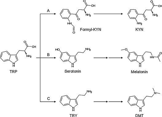 zaynMalikKizak's tweet photo. @janusz19581 @RepublikaTV @stanzag @ogorekmagda #Melatonina (#tryptofan-#serotonina) + #askorbinian #magnez'u + #chlorek #żelazo #II + #B2 (#ryboflawina), czyli #ogniwo #telomeraza #życie. #Utlenienie #jon'ów żelaza #Fe2+ do #Fe3+, czyli #ogniwa #apoptoza i #śmierc'i. #Dieta https://t.co/iMpls70R3W #Cud https://t.co/uJy2rb2OBn https://t.co/Hg5t0JRWsq