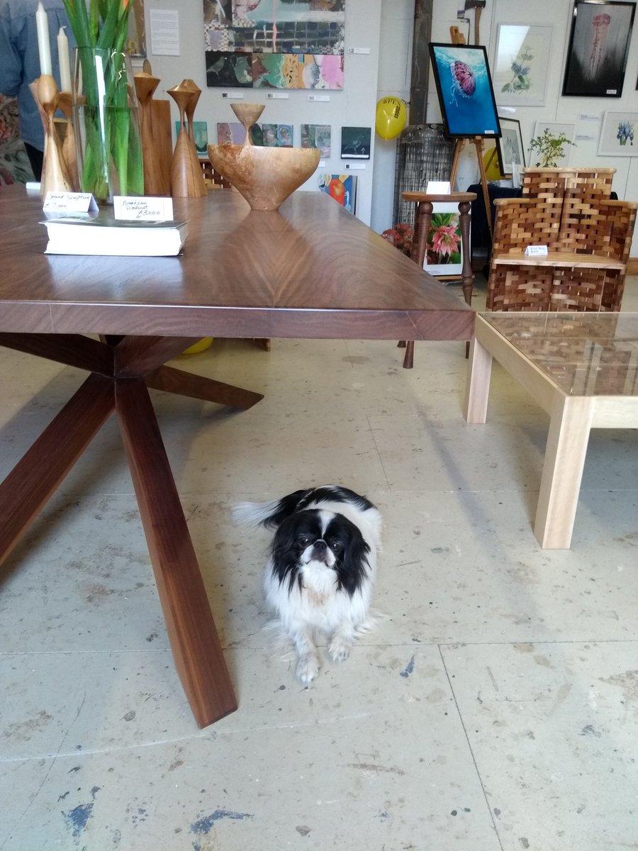 Charlie may welcome you to our Open Studios The Woodyard, Cheddars Lane CB5 8LD. 9 artist/makers one location. Open Sunday 15th July 11a.m. and 21st 22nd. No.41 #CamOpenStudios #cambridge #cambridgeartists