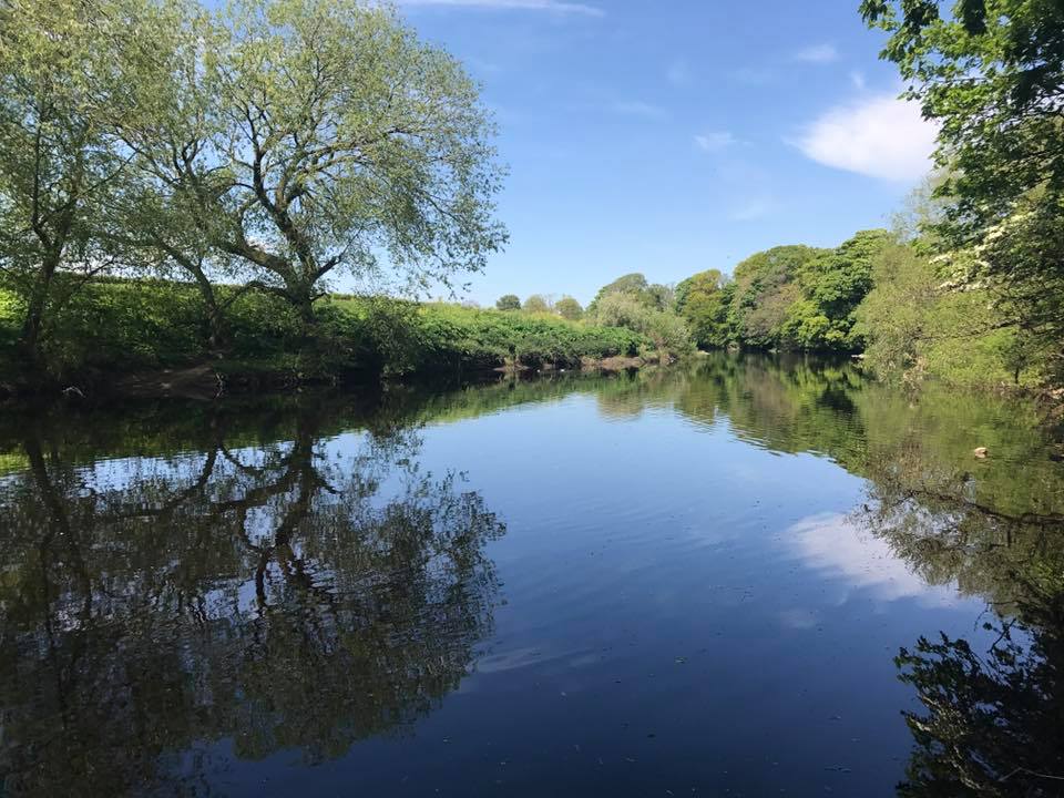 MaguiresCountry's tweet photo. Gorgeous shot of the River Tees near Newbus Grange Country Park! #rivertees #darlington #neasham #hurworth #caravanpark https://t.co/UKaJQC3TEH