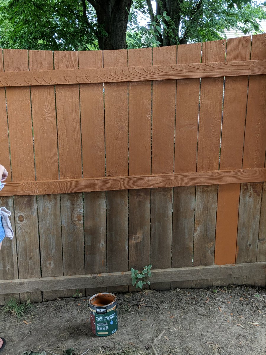 Matthew Schiavi (MatthewSchiavi) Twitter