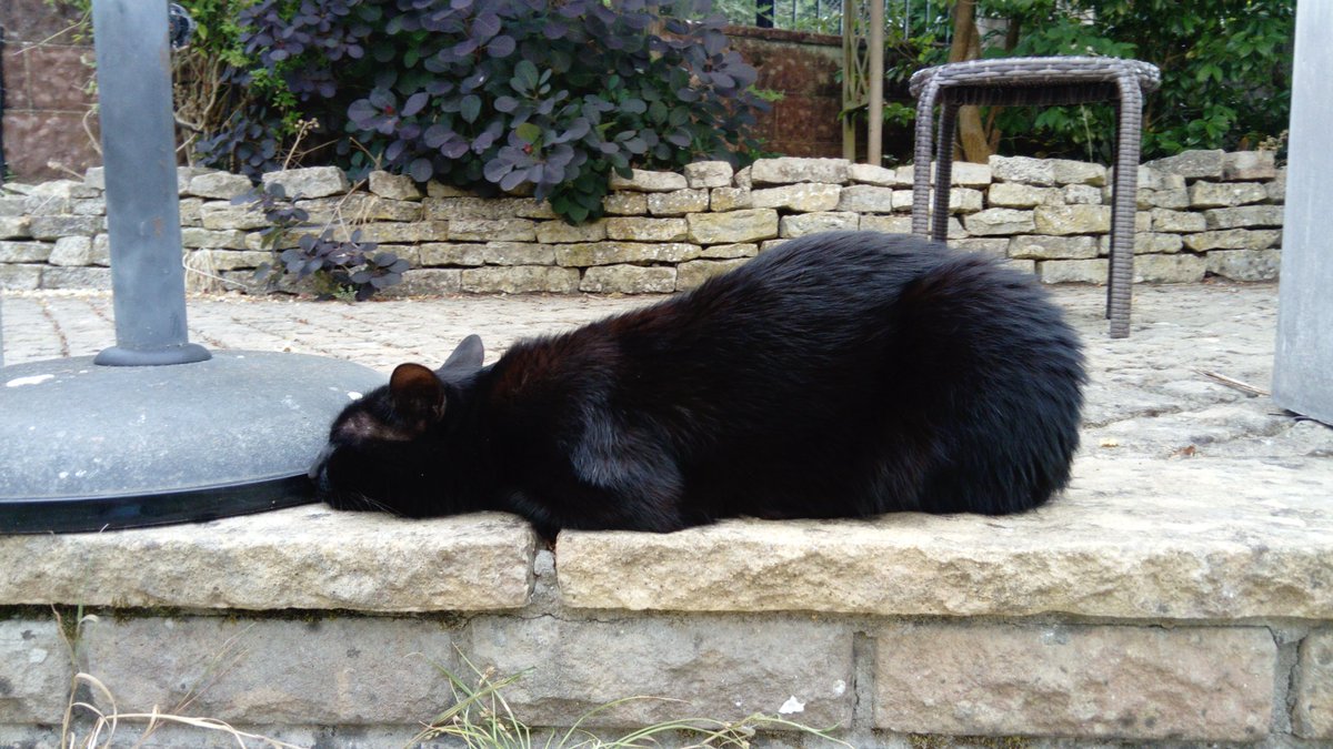 @MarkKelson.bsky.social tweet media