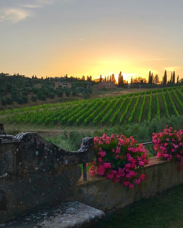 Just a #sunset @dievole .
.
.
 #thetuscantimes #tuscanybuzz #toscana #tuscany #toskana #toscana_amoremio #toscana_city #DiscoverTuscany #instatuscany #wonderlusttuscany #visittuscany #igerstoscana #igerssiena #whatitalyis #sunsetgram #tuscanhills  #chian… ift.tt/2mjZJcU