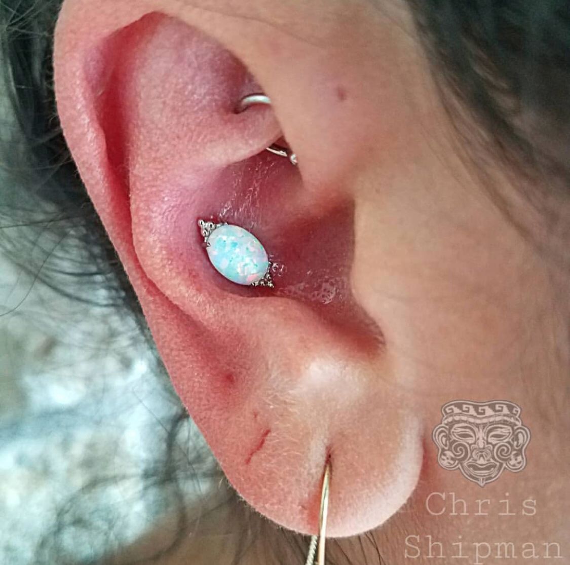 ShamanMods's tweet photo. Look how huge this opal is! This is definitely one of the coolest ends to come out of the @ANATOMETAL factories lately.
Fresh conch piercing performed by Chris.
#ATX #Austin #keepAustinweird #keepAustinmodified #RoundRock #Buda #Dallas #SanAntonio #Houston #bodypiercing https://t.co/mLhobvjeWD