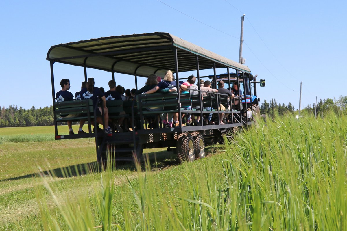 wayneagainpei's tweet photo. Thanks to the over 400 people who came out to our @AAFC_Canada research open house today in Harrington, PEI. https://t.co/xsTRdaAu79