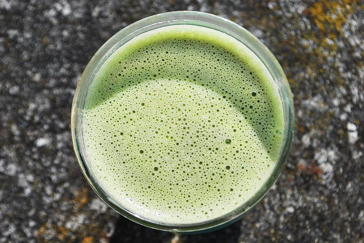 In our #NewBlogPost, Nadia from @wildwoodbotanicals breaks down her top 3 healthy elixirs for road tripping, including this epic Supercharged Matcha Latte made with ceremonial organic matcha from <a href="/domatcha/">DoMatcha</a>. Check the link below for the recipe!

Link: thestarvingsailor.ca/top-3-healthy-…
