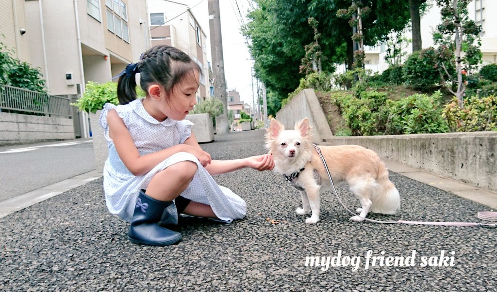 75japan_neko's tweet photo. mydog＆friend https://t.co/3iWQl85vTg