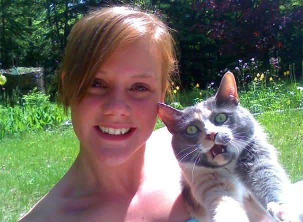 dstumblor's tweet photo. https://t.co/UNVPPoCNcU
Cats Didn’t Want To Be a Part of Your Selfies
#cat #cats #selfie #selfies #funnypics #funny #stumblor https://t.co/nN8qqhQKWY