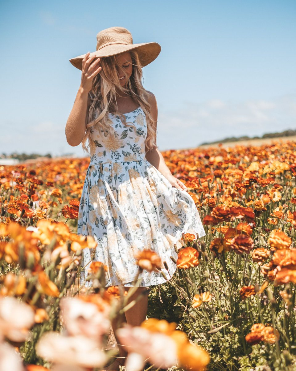 theblondeabroad's tweet photo. Home sweet home 🌼 I’m wearing a new @GalMeetsGlam dress and @bfbhair — both of these brands are the passion product lines of two female bloggers I look up to tremendously | #gmgcollection #barefootblondehair https://t.co/jbHzNQGrFO