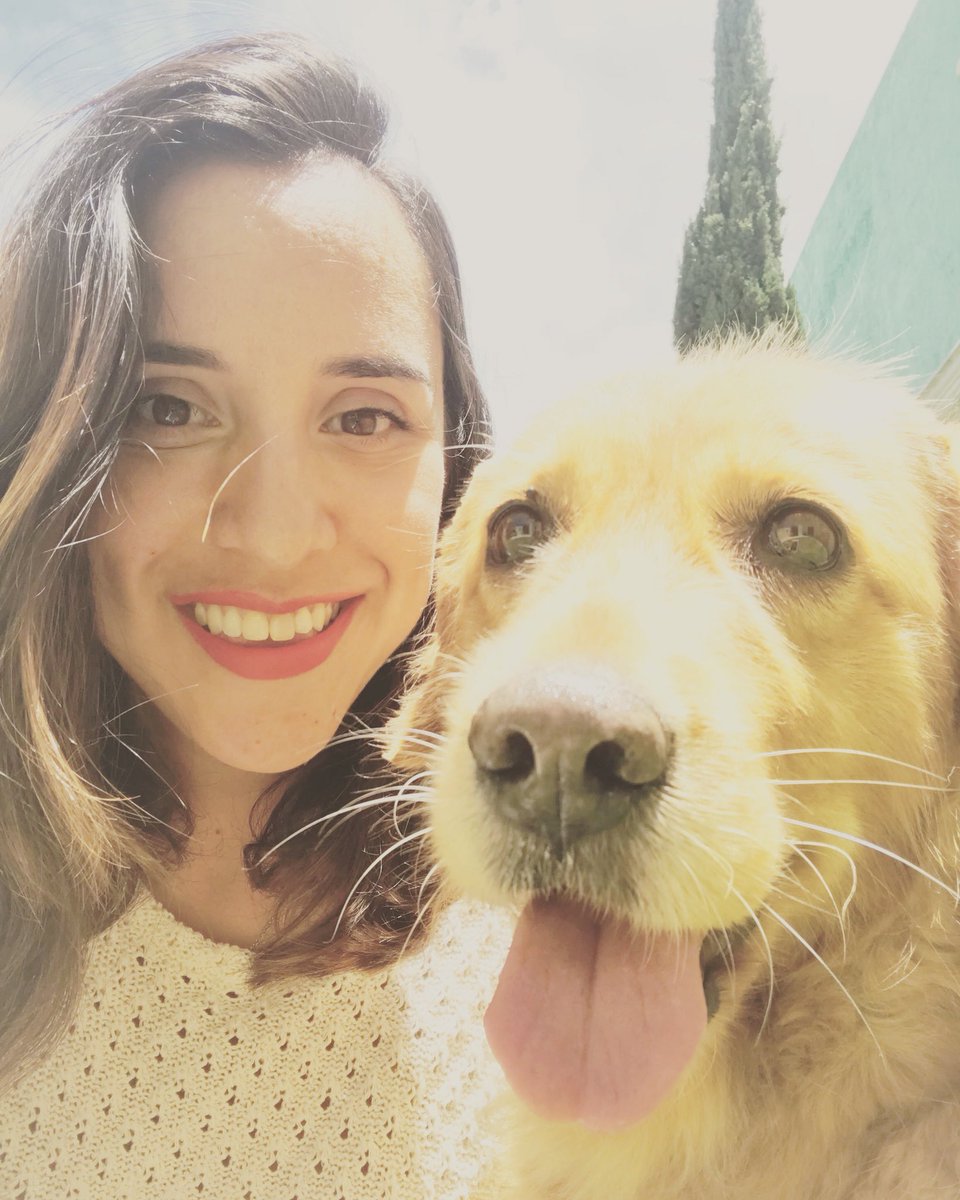 PATCHRL's tweet photo. El mejor perro del mundo. #brecka #goldenretriever #sabadaba https://t.co/eMgux05pVy