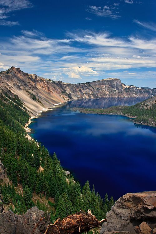 GilchristMari's tweet photo. #natureloversgallery
#nature_cuties #naturelove #naturephotography #naturlove #naturephotography 
#naturefreak #naturlove #natur_photograph #nature #best_skyshots https://t.co/L2AeYUbR3r https://t.co/udYa3hfQ5Z