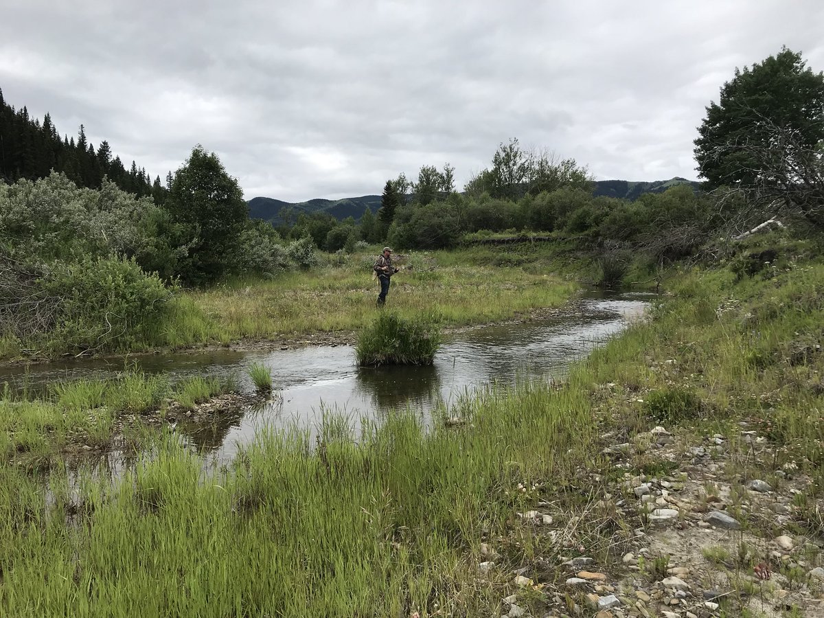 Secret_creek's tweet photo. This could be you! 

This is no secret.

“We conduct guided trips in the beautiful Alberta Rocky Mountains, and take care of everything you need for a great time.”

BOOK NOW: Limited spaces available

https://t.co/mYeuULr7b4

#secretcreek #flyfishing #flyfishingaddict #Alberta https://t.co/A4etqm4iQk