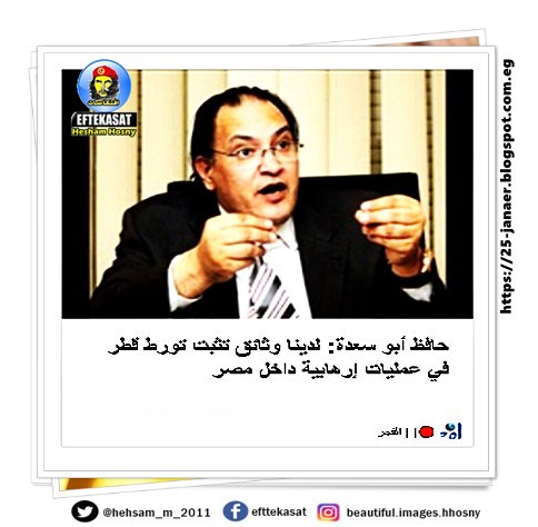 حافظ أبو سعدة: لدينا وثائق تثبت تورط قطر في عمليات إرهابية داخل مصر