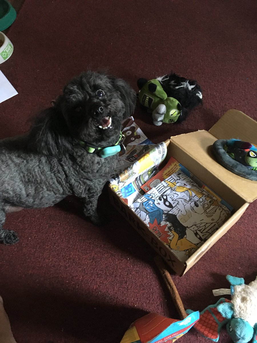 Molly is loving her <a href="/barkbox/">BarkBox</a> this month!