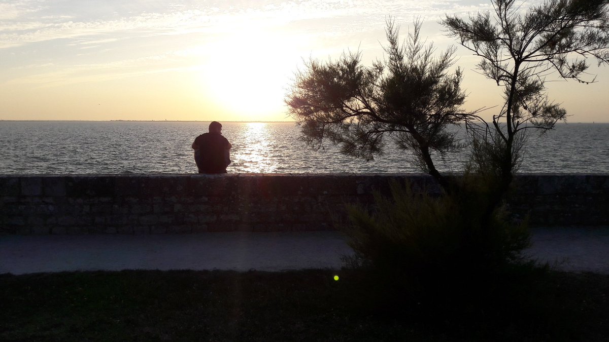 Petit chat 🐱 tweet media