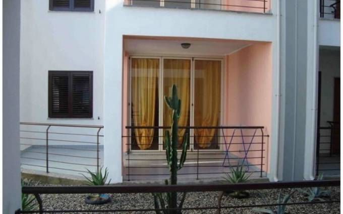 Дарья Петрова tweet media