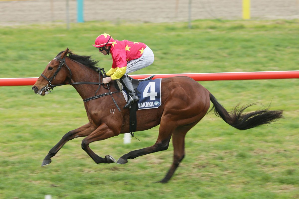 nzracingnews's tweet image. #AimSmart made his first start for new trainer Lauren Brennan a winning one when the @Chinahorseclub-owned gelding was victorious at @Ruakakaracing on Saturday racingnews.co.nz/blog/post/3022…