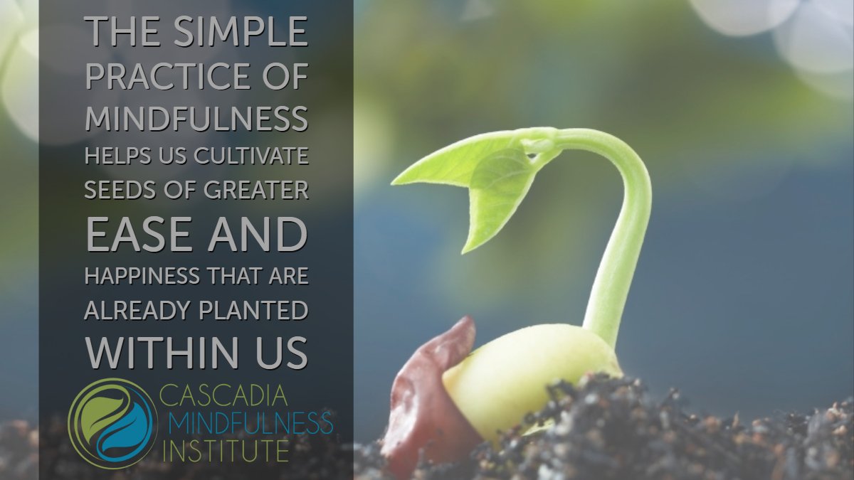 Cultivate mindfulness: The simple practice of mindfulness helps us cultivate seeds of greater ease and happiness that are already planted within us #mindfulness #mindfulnessmeditation #mbsr
