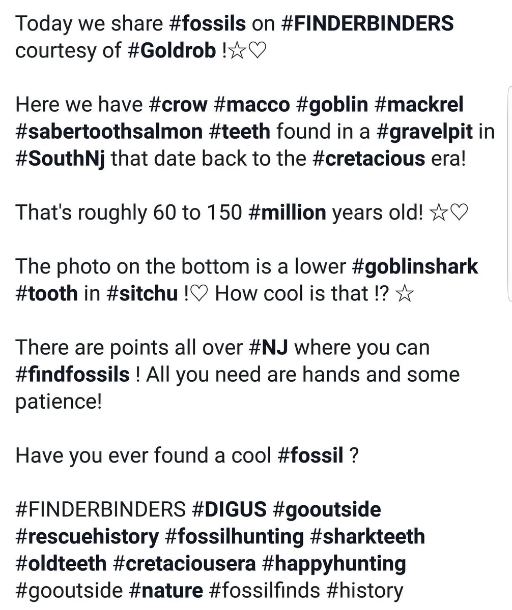 FINDER_BINDERS's tweet photo. #fossils #FINDERBINDERS #Goldrob #crow #macco #goblin #mackrel #sabertoothsalmon #teeth #gravelpit #SouthNj #cretacious #goblinshark #tooth #sitchu #NJ #findfossils #fossil #DIGUS #rescuehistory #fossilhunting #sharkteeth #oldteeth #cretaciousera #nature #fossilfinds #history ☆ https://t.co/j8FqUIOtob