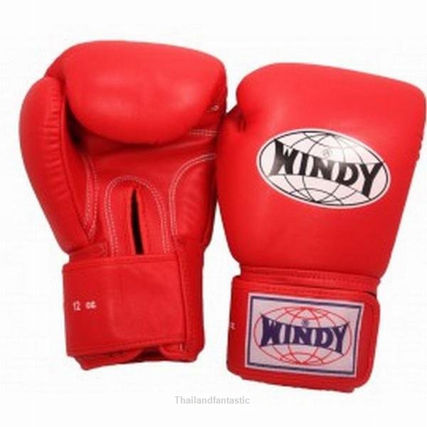 Windy BGVH Red Kids Muay Tai Thai Kick Boxing MMA Sporting Training Punching Martial Arts Gloves

nezzisport.com/products/copy-…